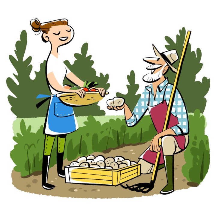 Illustration of a woman and man harvesting vegetables in a garden with green bushes and a wooden crate of produce.