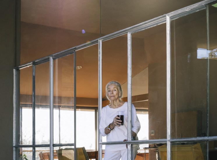 How a childhood RM Schindler-designed LA home has been brought back to its modernist glory