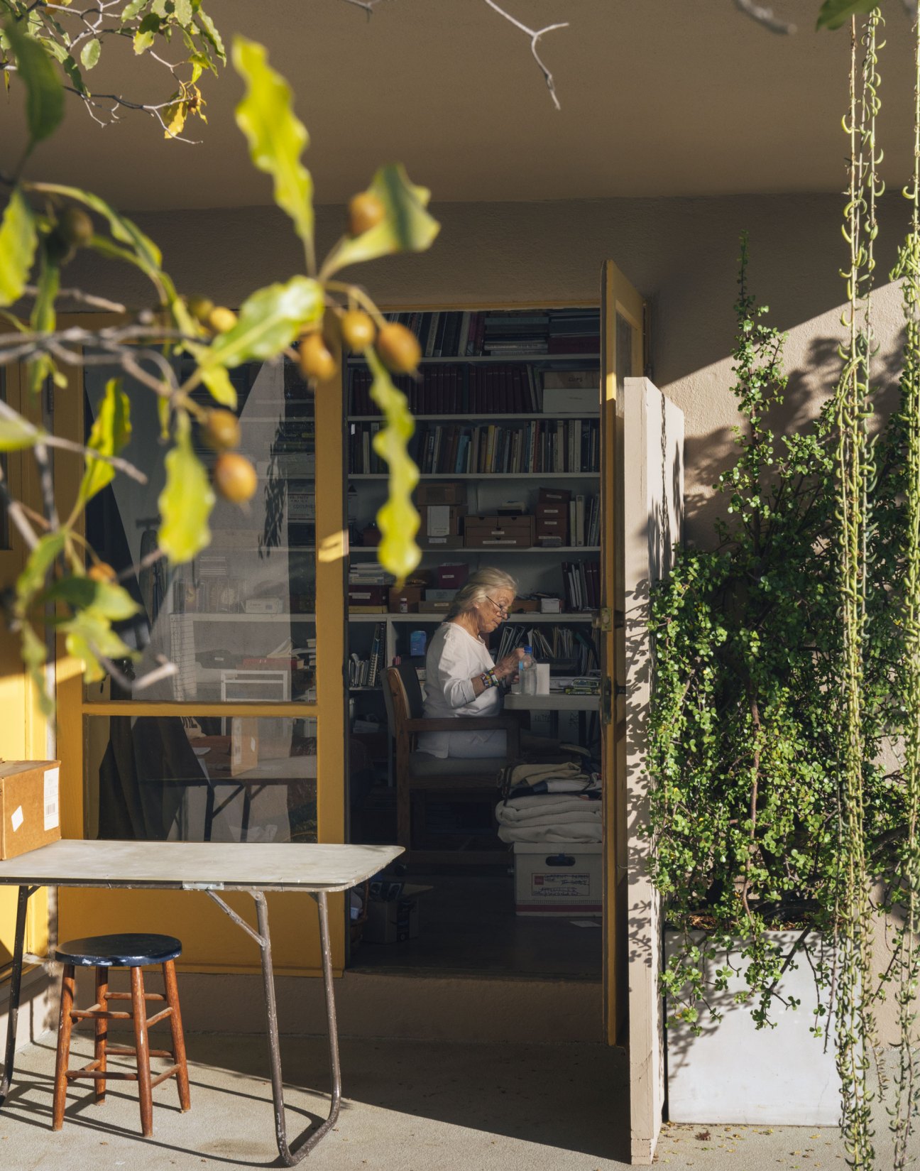 Organized home office workspace with bookshelves, desk, and hanging plants in natural light