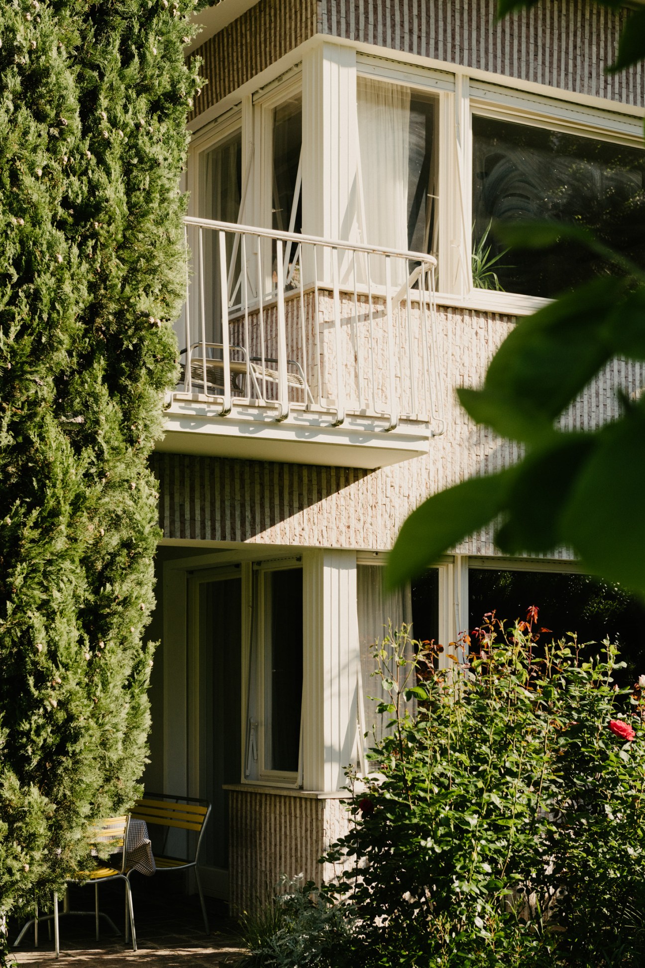 Modern renovation of 1960s building with grey facade, white-framed balcony doors and verdant ivy climbing the left wall.