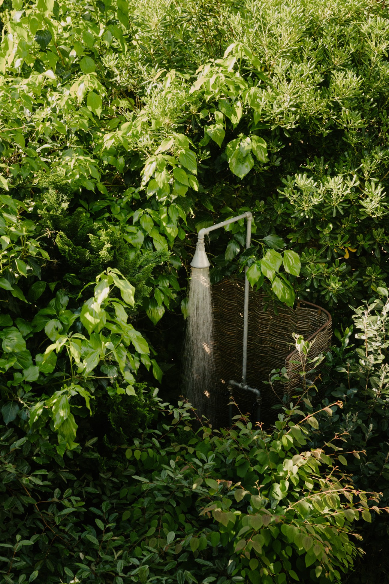 Outdoor shower with woven willow screen surrounded by lush green foliage and plants.