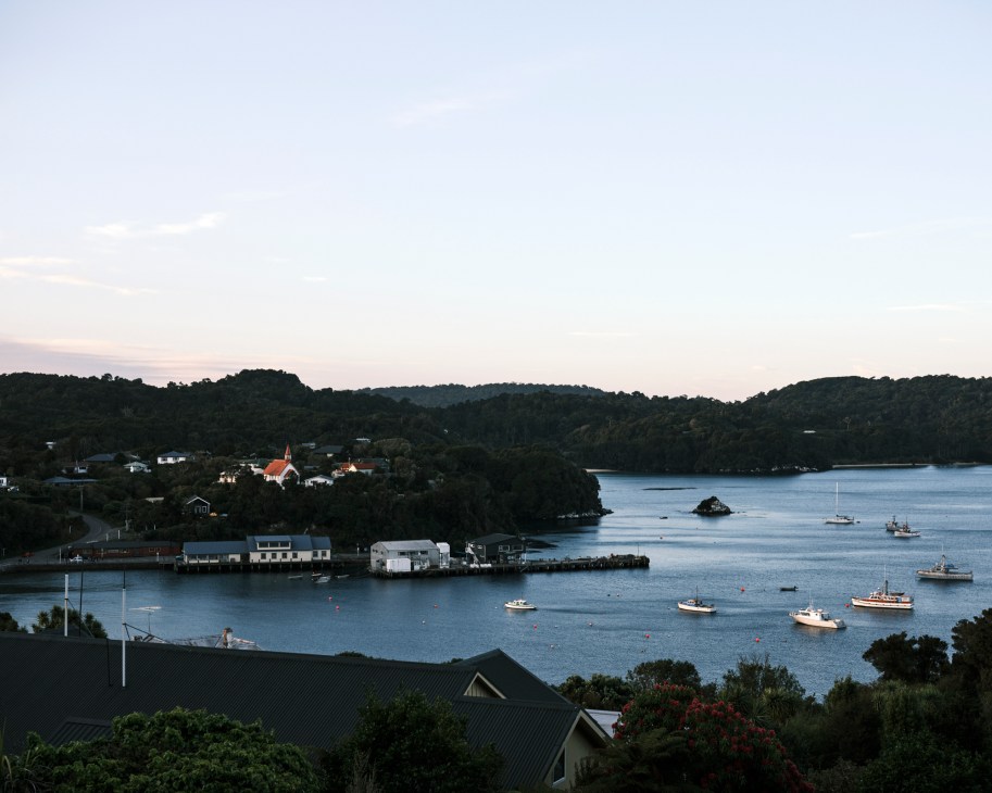 Forested landscape and walking tracks of Stewart Island, New Zealand