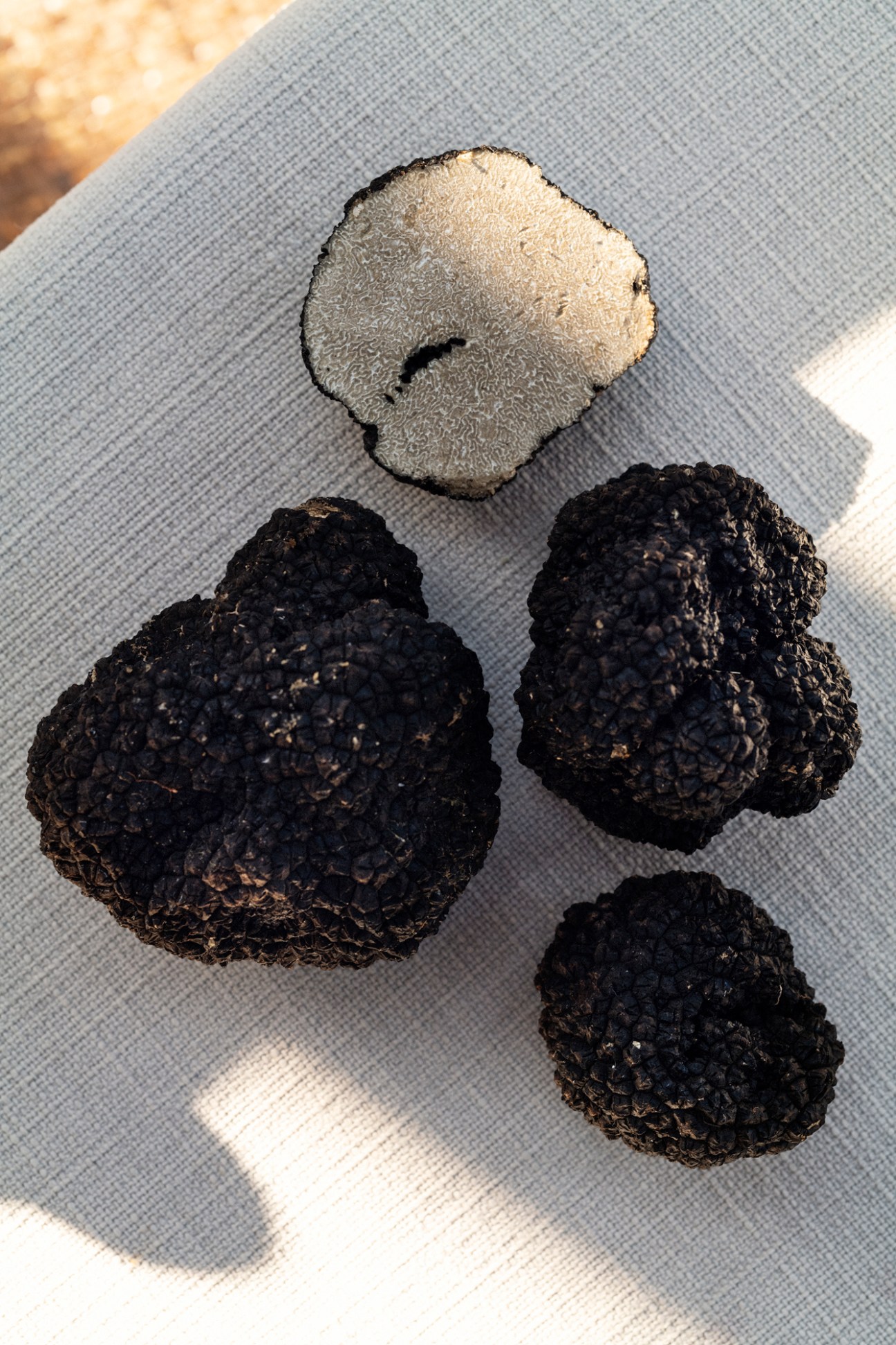 Four truffles on white paper, one pale specimen above three dark black ones.