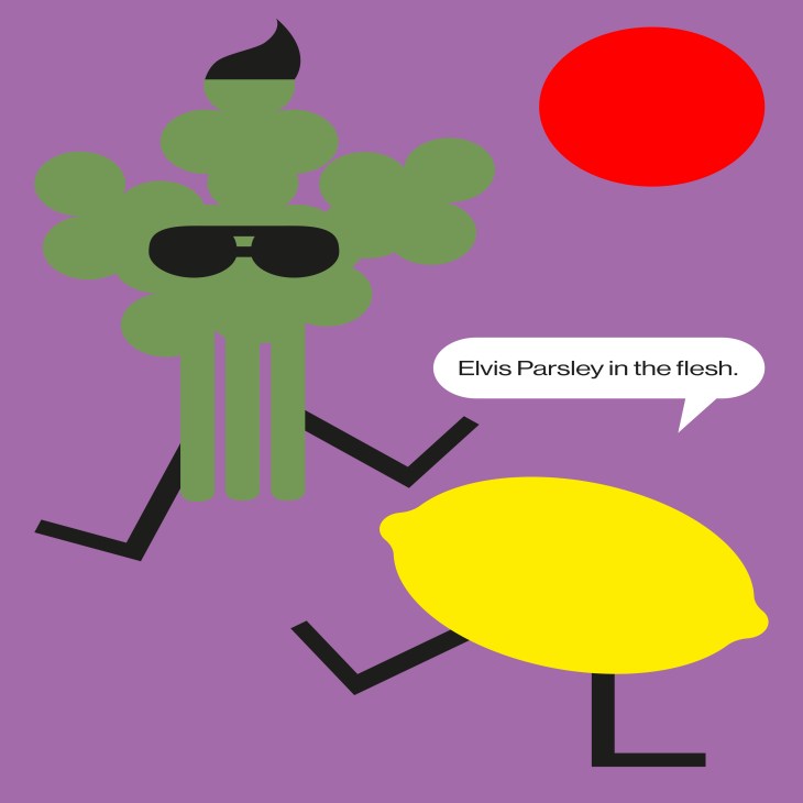 Green figure with sunglasses and black hair saying "Elvis Parsley in the flesh" next to a yellow lemon character and red sun