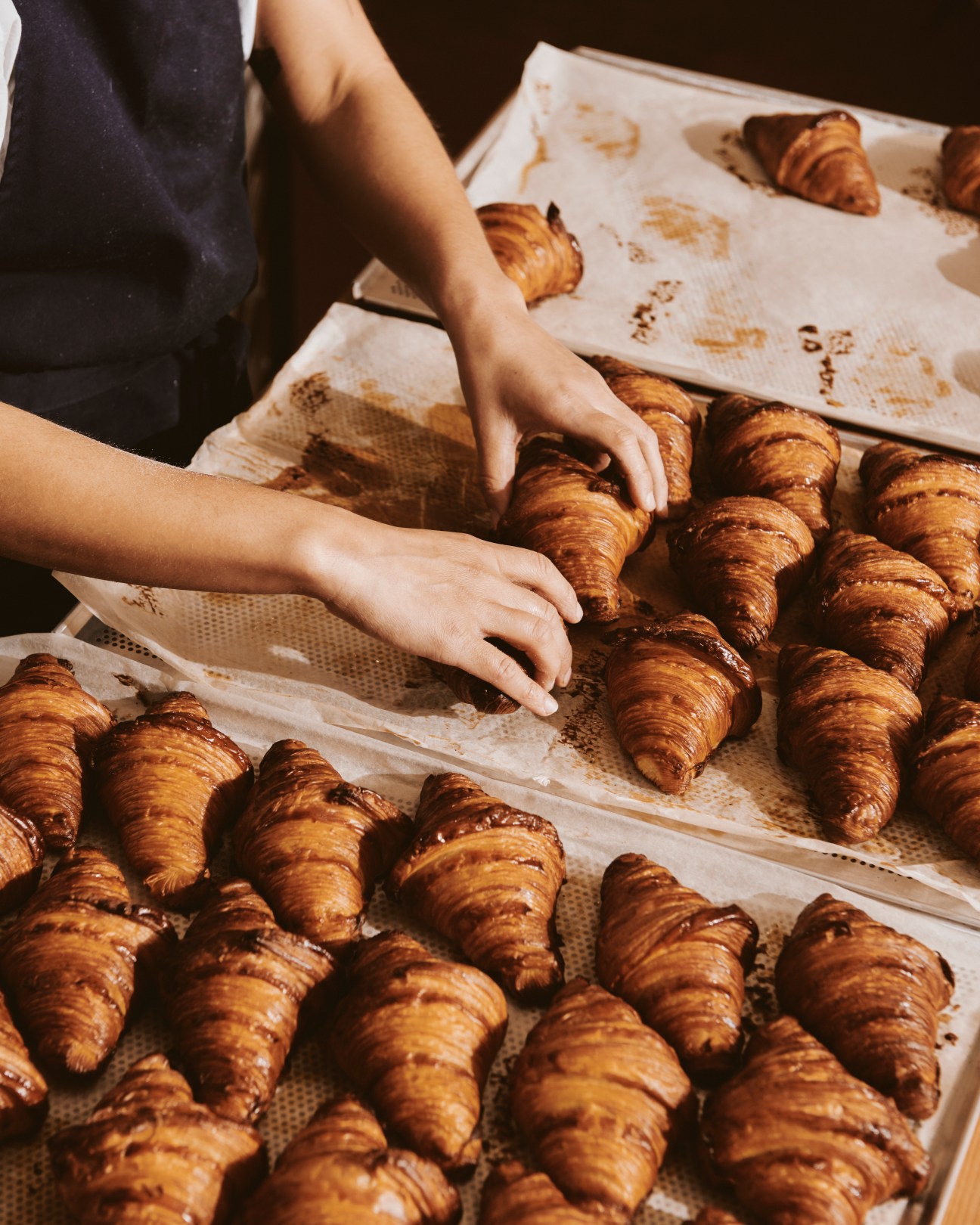 Baker's hands arranging freshly baked croissants on parchment-lined baking trays