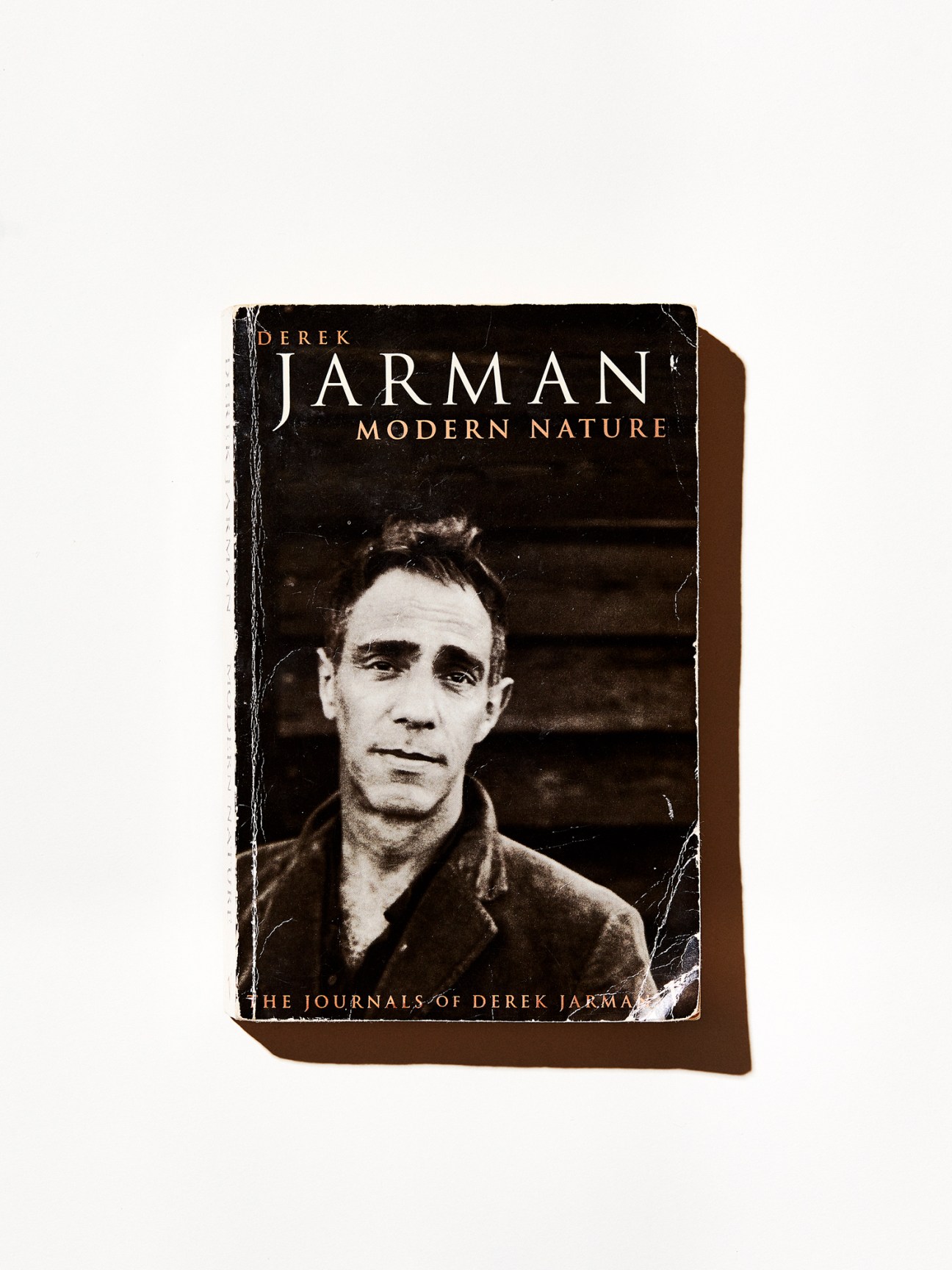 Modern Nature book cover by Derek Jarman showing a black and white portrait photograph