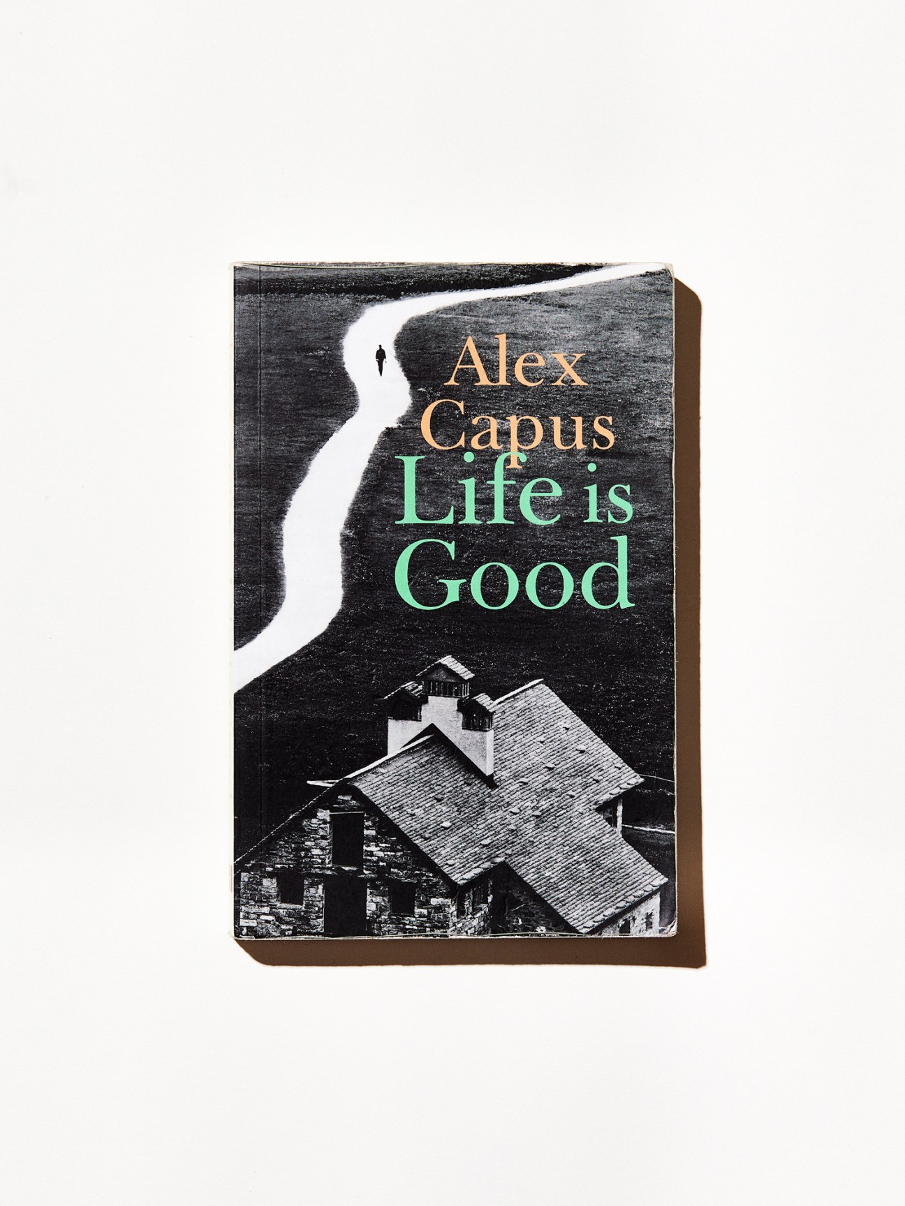 Life is Good book cover by Alex Capus showing a black and white path with a small figure and houses below