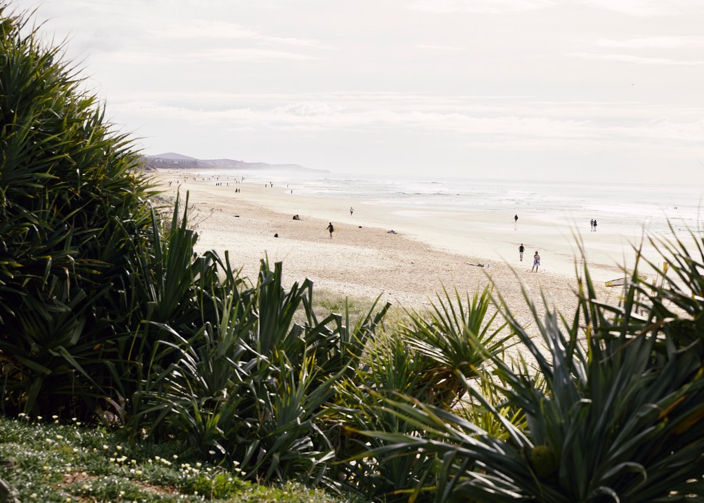 Beach view through coastal vegetation showing sandy shoreline with scattered beachgoers and distant hills