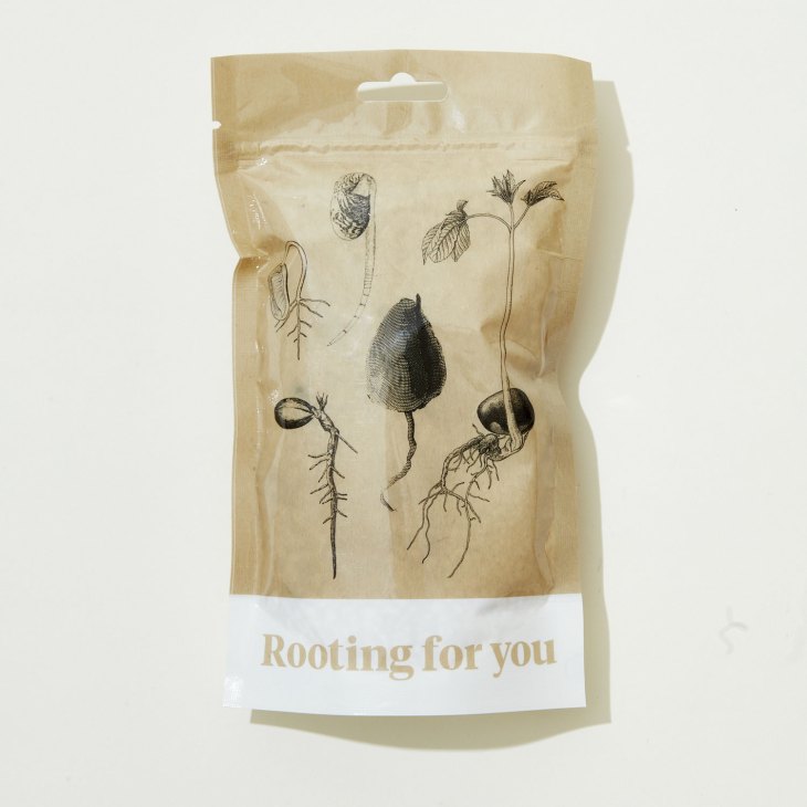 Brown paper package with botanical illustrations of sprouting seeds and germinating plants
