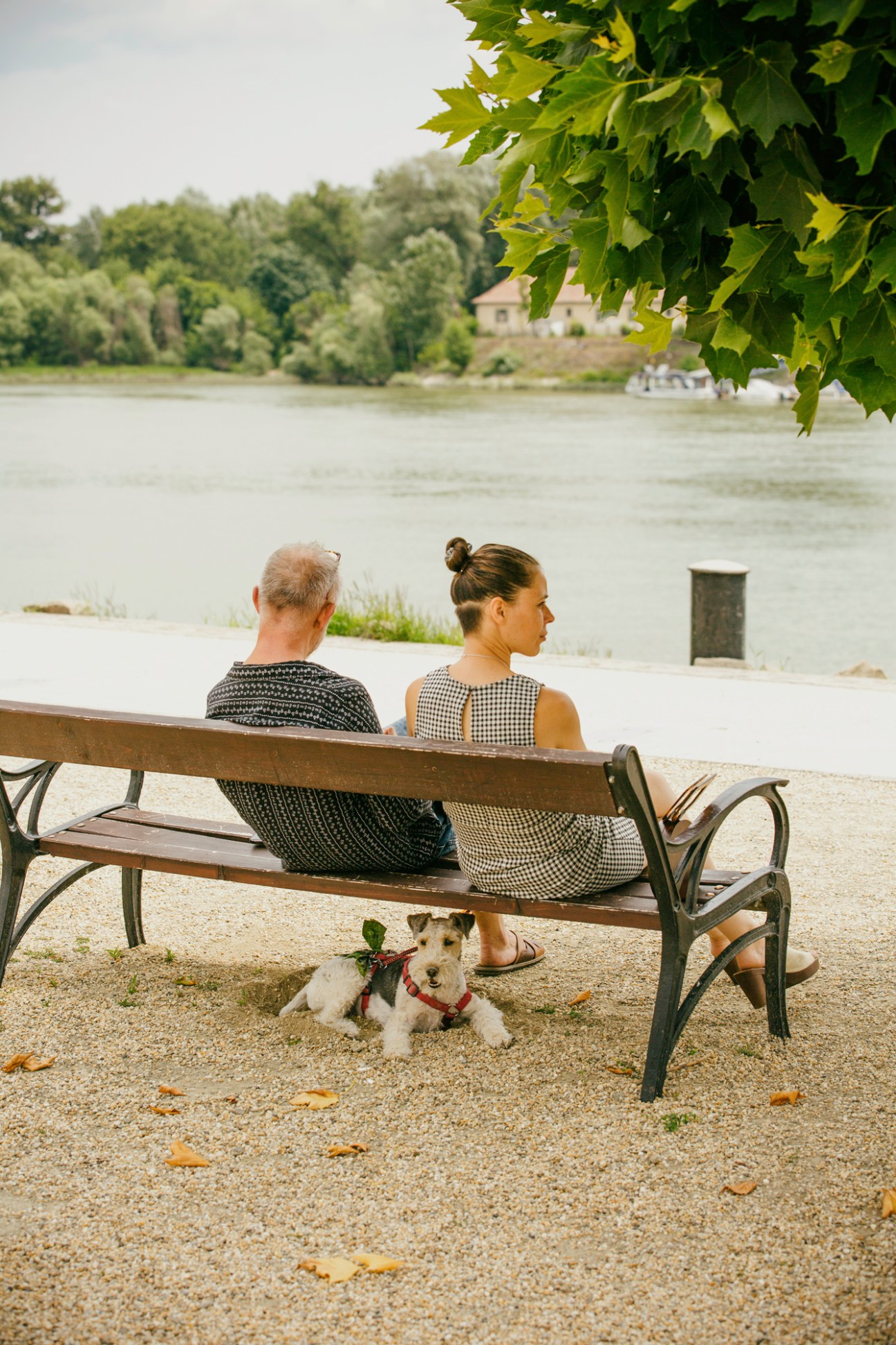 Two people sit on a bench overlooking the Danube River in Hungary with a small dog at their feet.