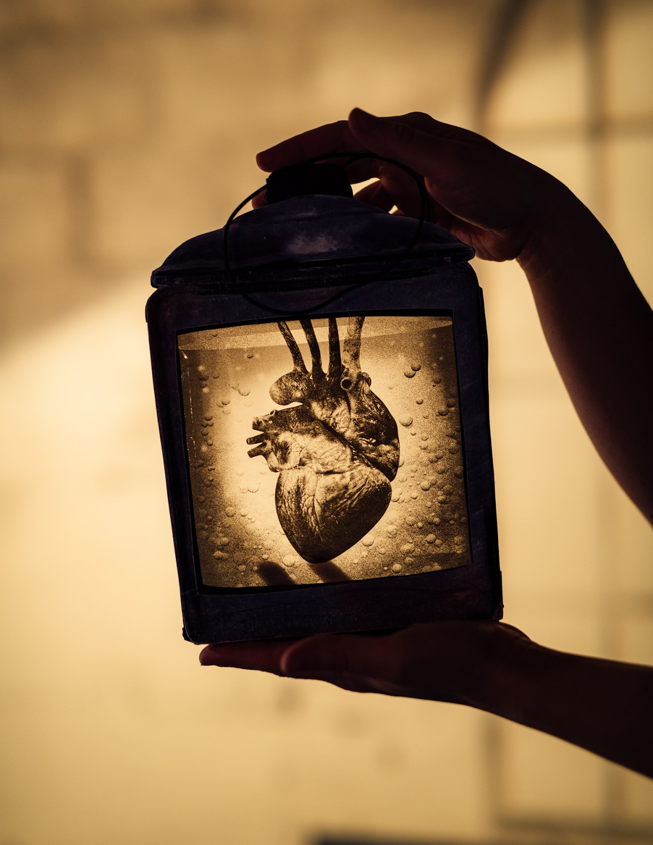 Hands holding a lantern containing an illuminated anatomical heart image with water droplets on glass