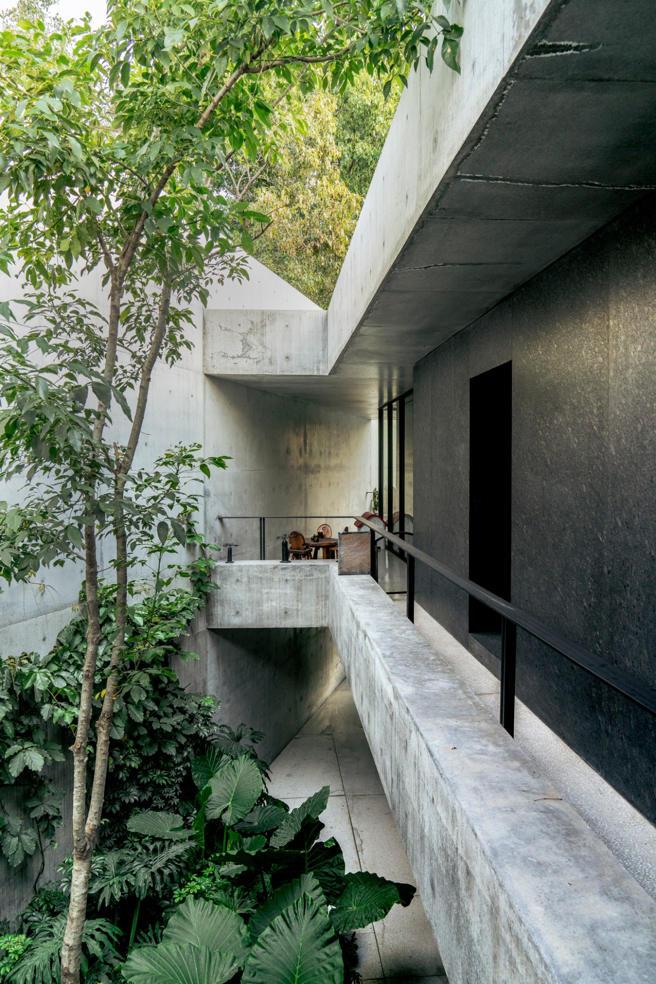 Concrete courtyard of Swiss ambassador residence in Mexico City with lush tropical plants and modern architecture