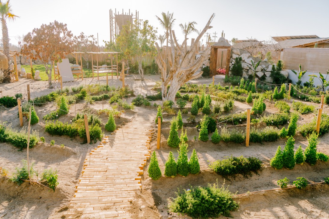 Desert landscaping with pathways, young plants, wooden structures and dried tree branches at El Perdido hotel.