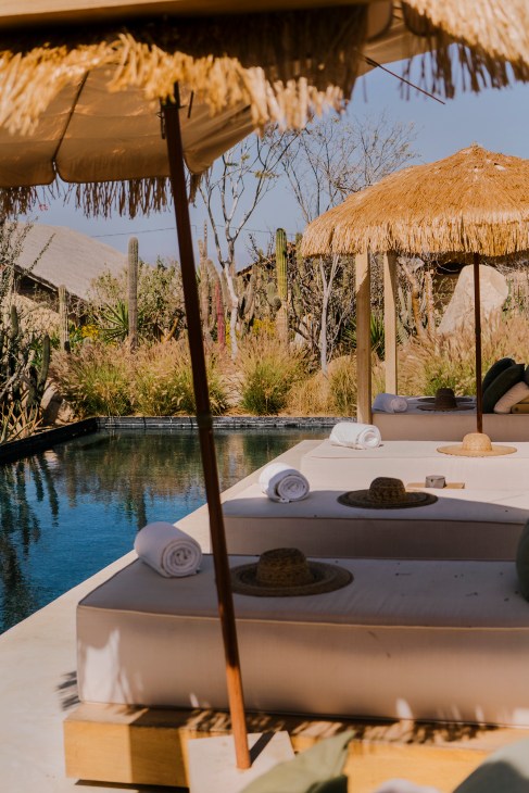 Desert resort poolside with thatched umbrellas, loungers, rolled towels, and cacti in the background.