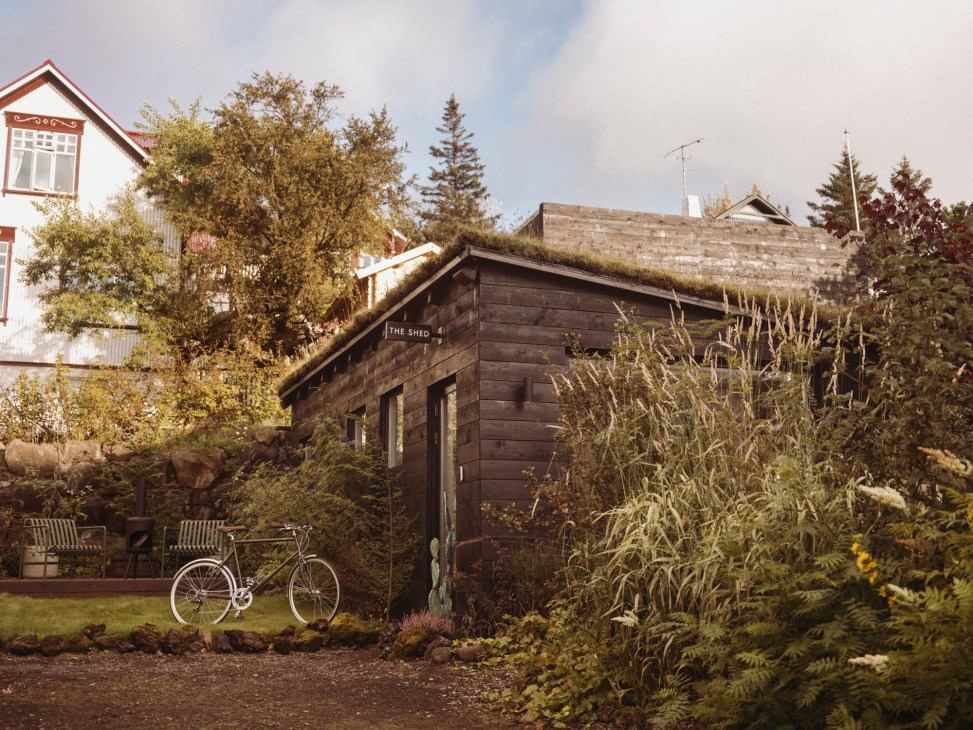 Exterior view of The Shed wooden building with grass roof, bicycle parked outside, surrounded by garden vegetation