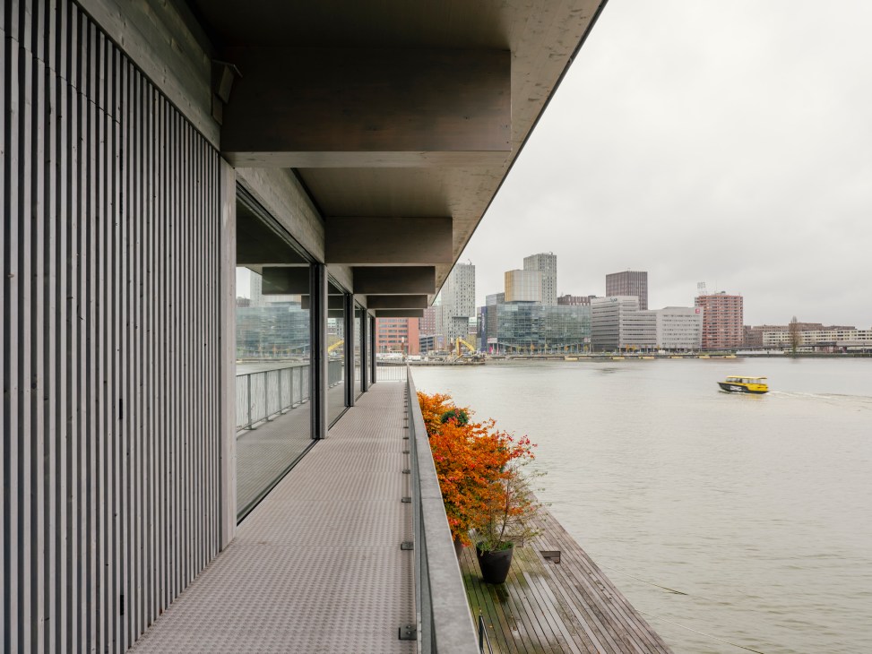 Covered walkway with vertical timber slats overlooking Rotterdam harbour with autumn foliage and city skyline