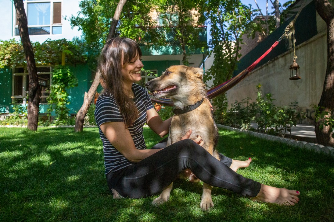 Woman in striped shirt sitting on grass with brown and white dog on leash in sunny park setting