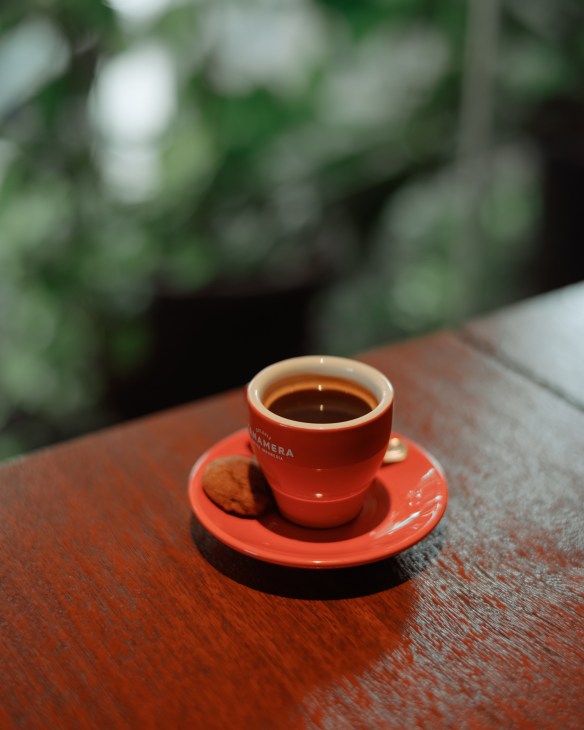 Close-up of freshly brewed specialty coffee being poured, showing rich crema and expert brewing technique