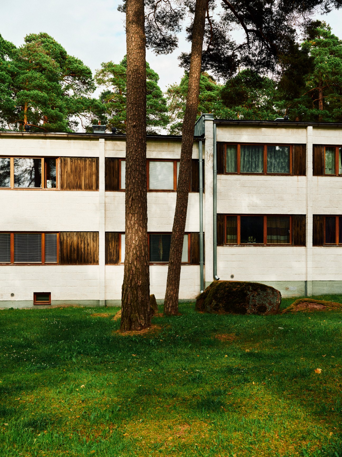 White modernist residential buildings with wood accents nestled among tall pine trees on a green lawn
