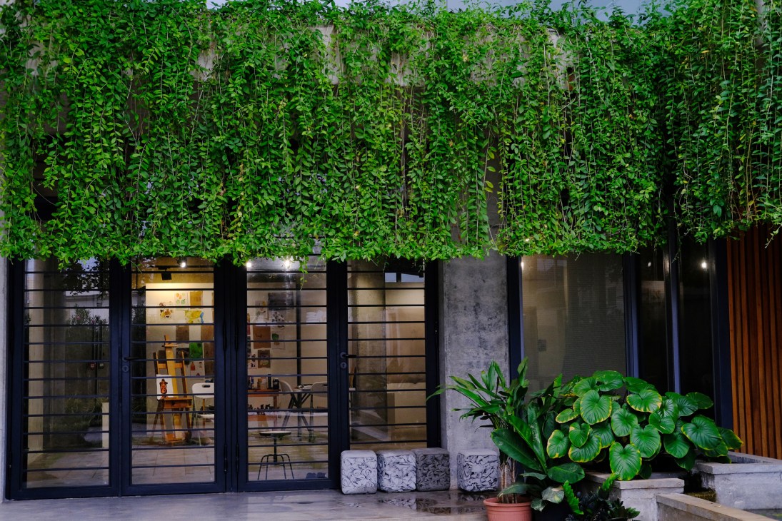 Modern storefront with black-framed glass doors and windows beneath lush green climbing ivy, with potted plants outside.