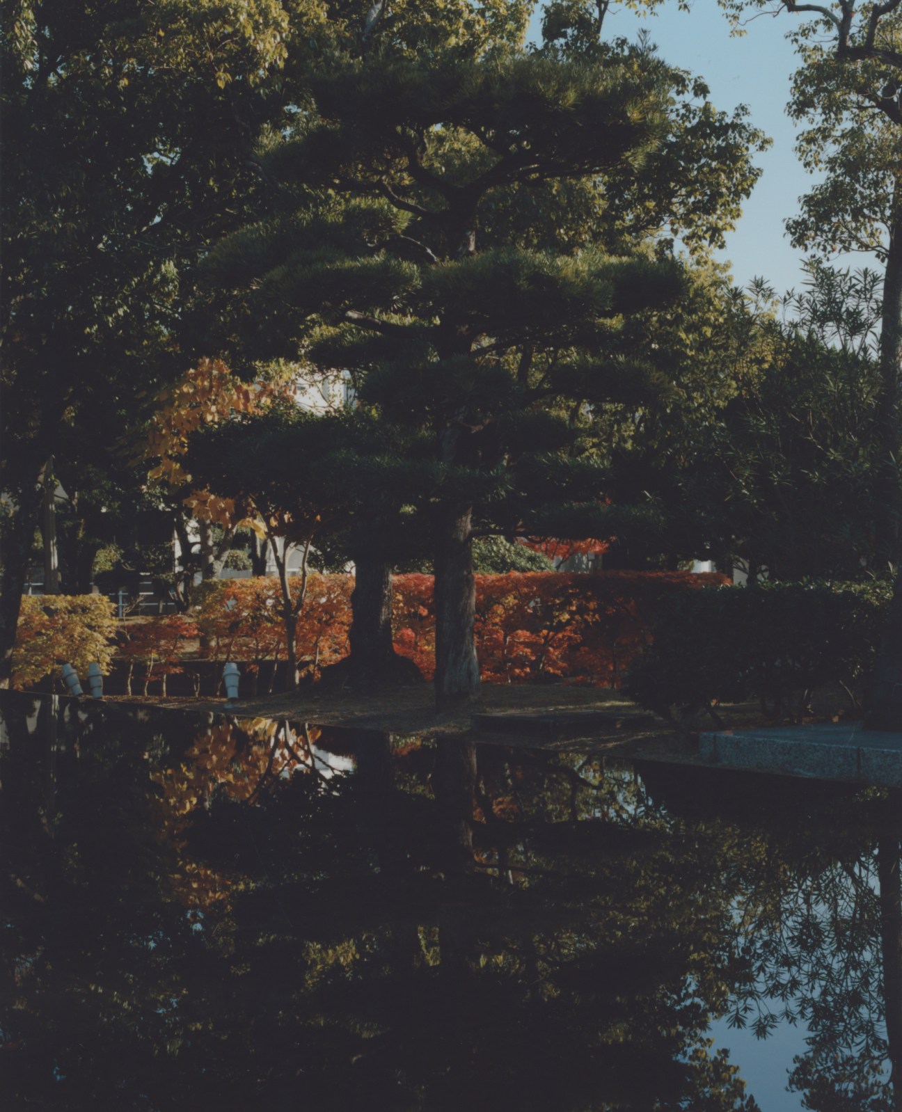 Peaceful garden