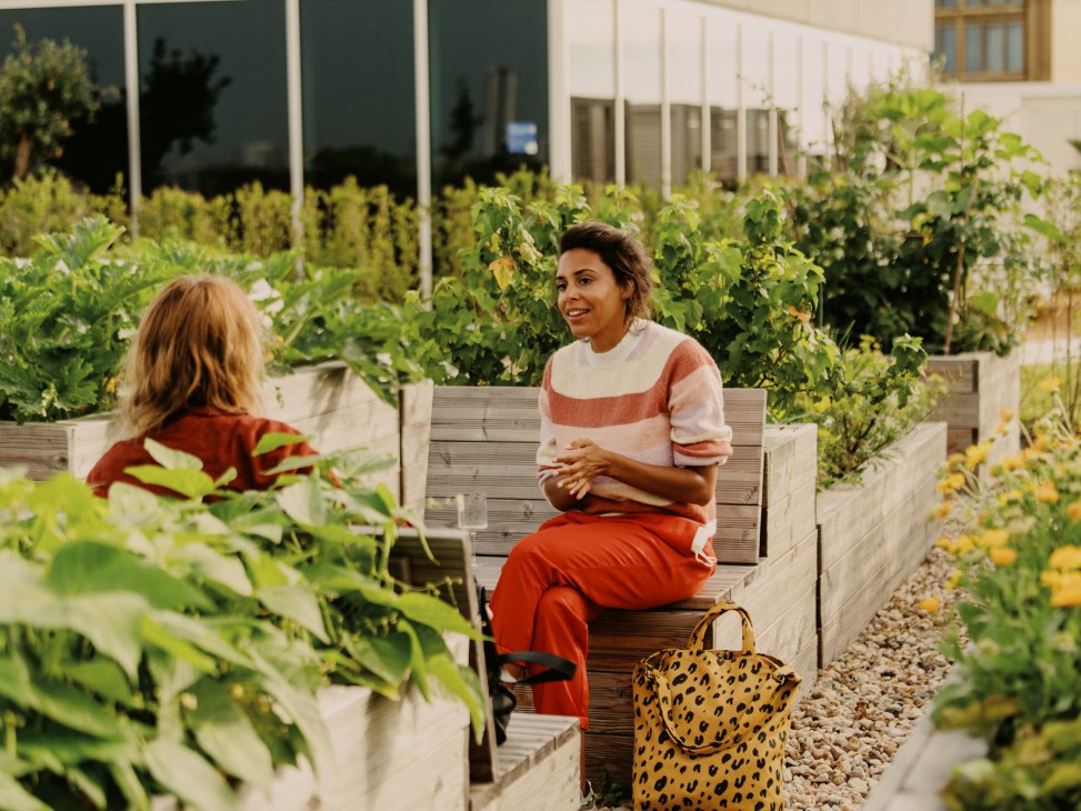 Two women having drinks and conversation on rooftop terrace with garden planters and urban building backdrop