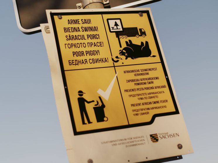 Yellow warning sign with multilingual text and illustrations showing dead pig and person disposing waste in bin