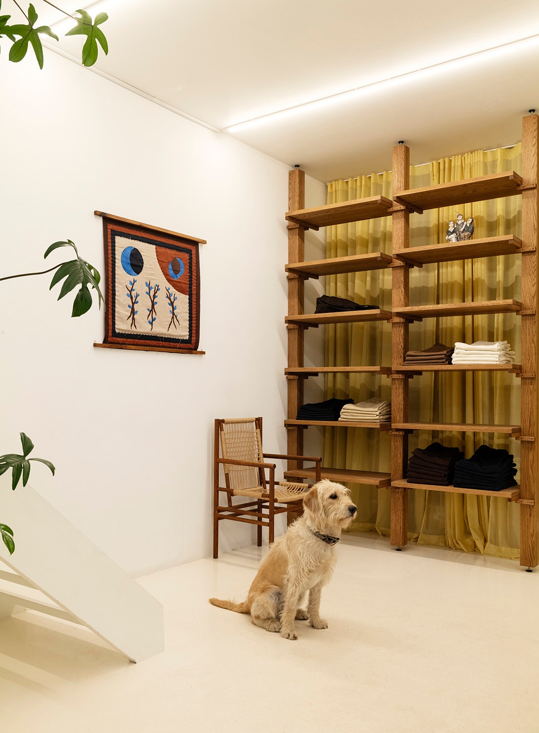 Golden retriever dog sitting in Another Aspect store in Copenhagen with wooden shelving and yellow curtains