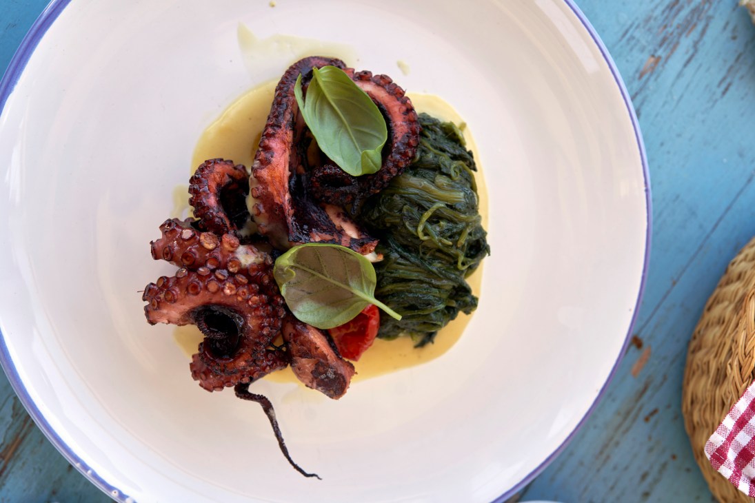 Grilled octopus tentacles with greens and sauce on white plate at Taverna del Porto