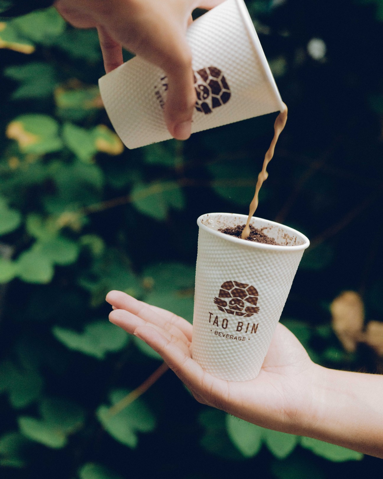 Hands holding white Tao Bin branded cup while pouring coffee from matching container outdoors