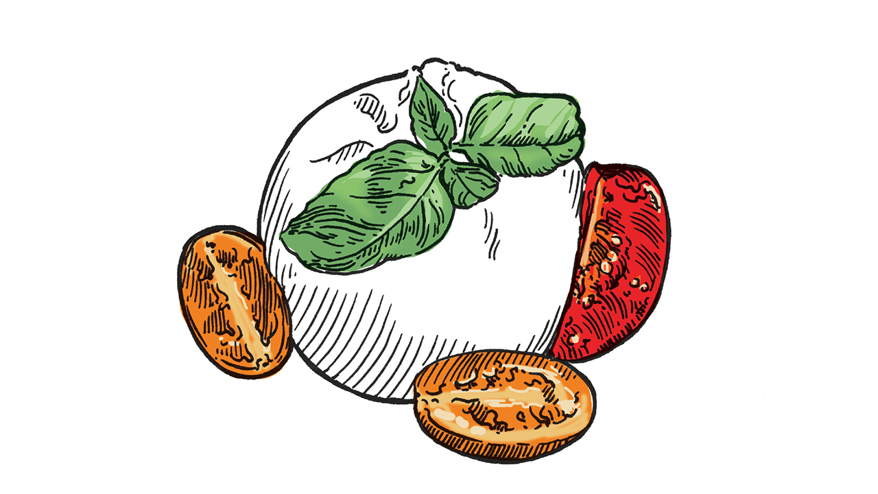 Illustration of burrata cheese with tomato slices and basil leaves