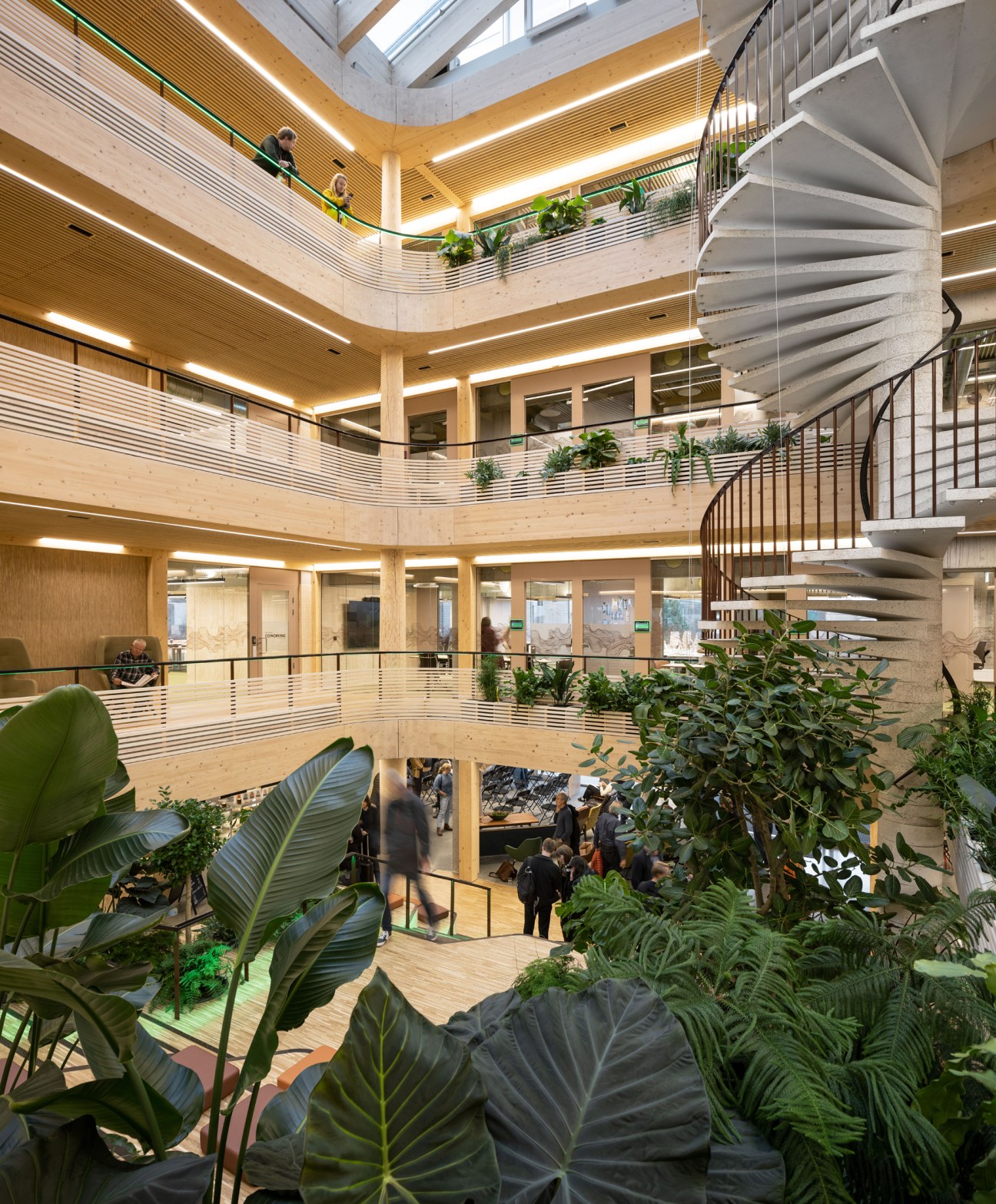 Multi-level interior atrium with wooden galleries, spiral staircase, and abundant greenery in renovated concrete building