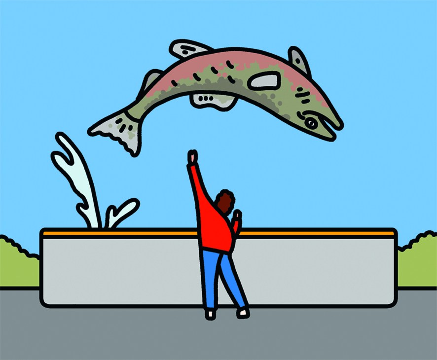 Illustration of a person catching a leaping salmon above water near a riverbank.