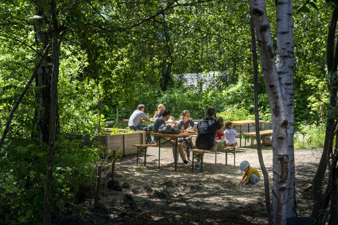 People gathering at picnic tables in a leafy forest clearing during daytime.