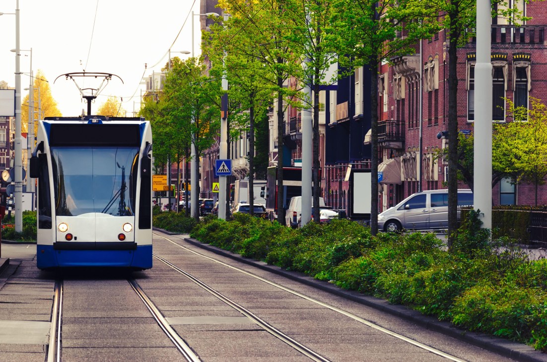 Blue and white electric tram traveling on tracks through a tree-lined urban street
