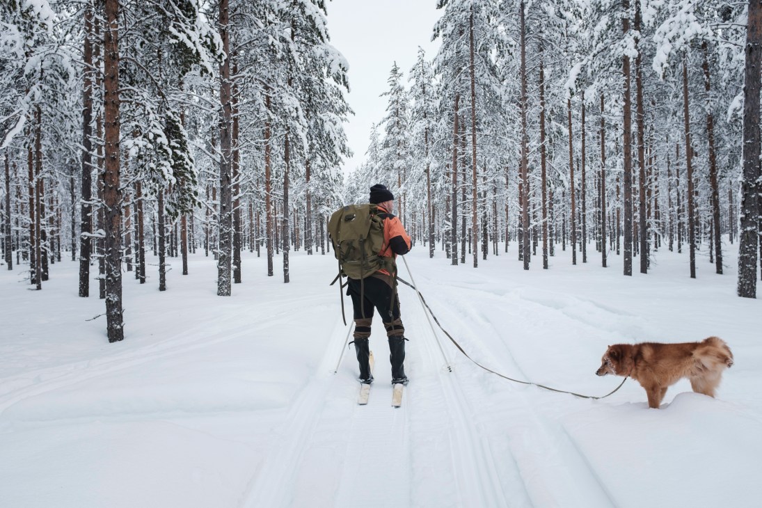 Person cross-country skiing through snow-covered forest with dog on leash in Finnish Lapland