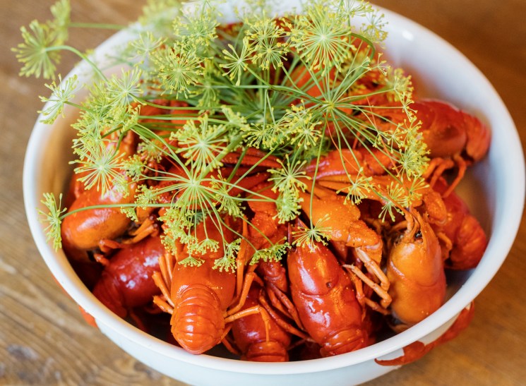 Cooked crayfish garnished with fresh dill in a white bowl