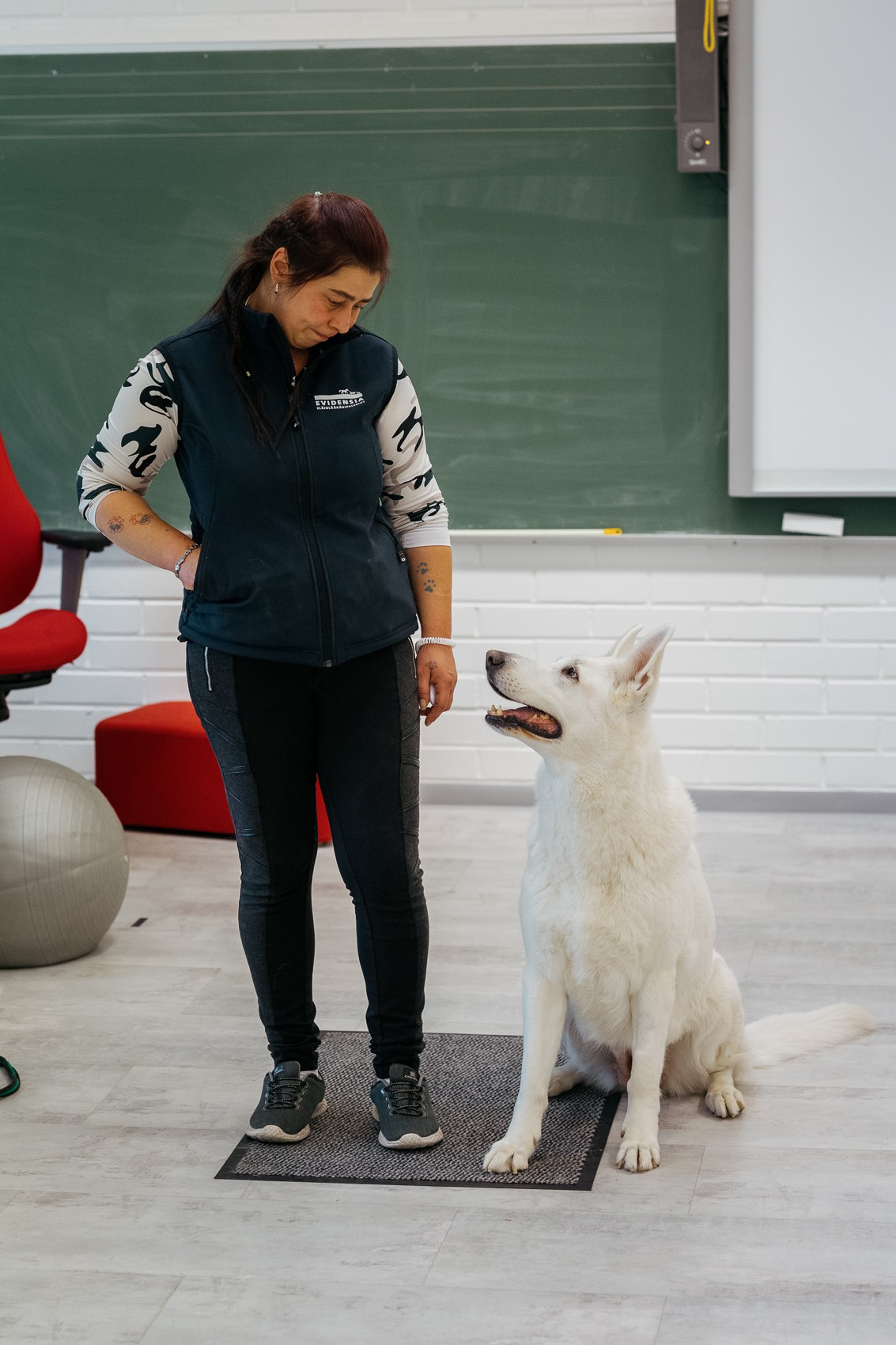 Woman in navy vest and patterned sleeves stands with white Swiss shepherd dog in classroom setting.