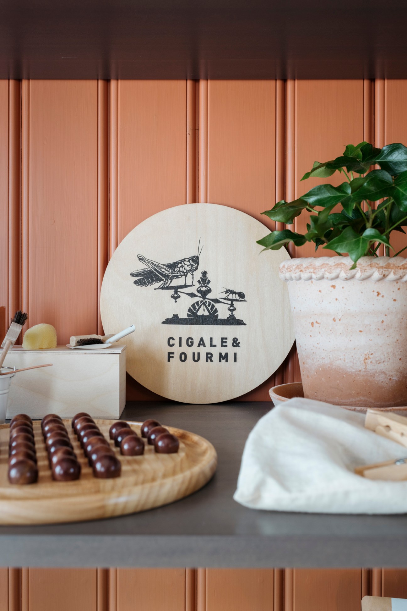 Cigale & Fourmi design shop interior with wooden circular logo sign, potted plant, and tableware display.