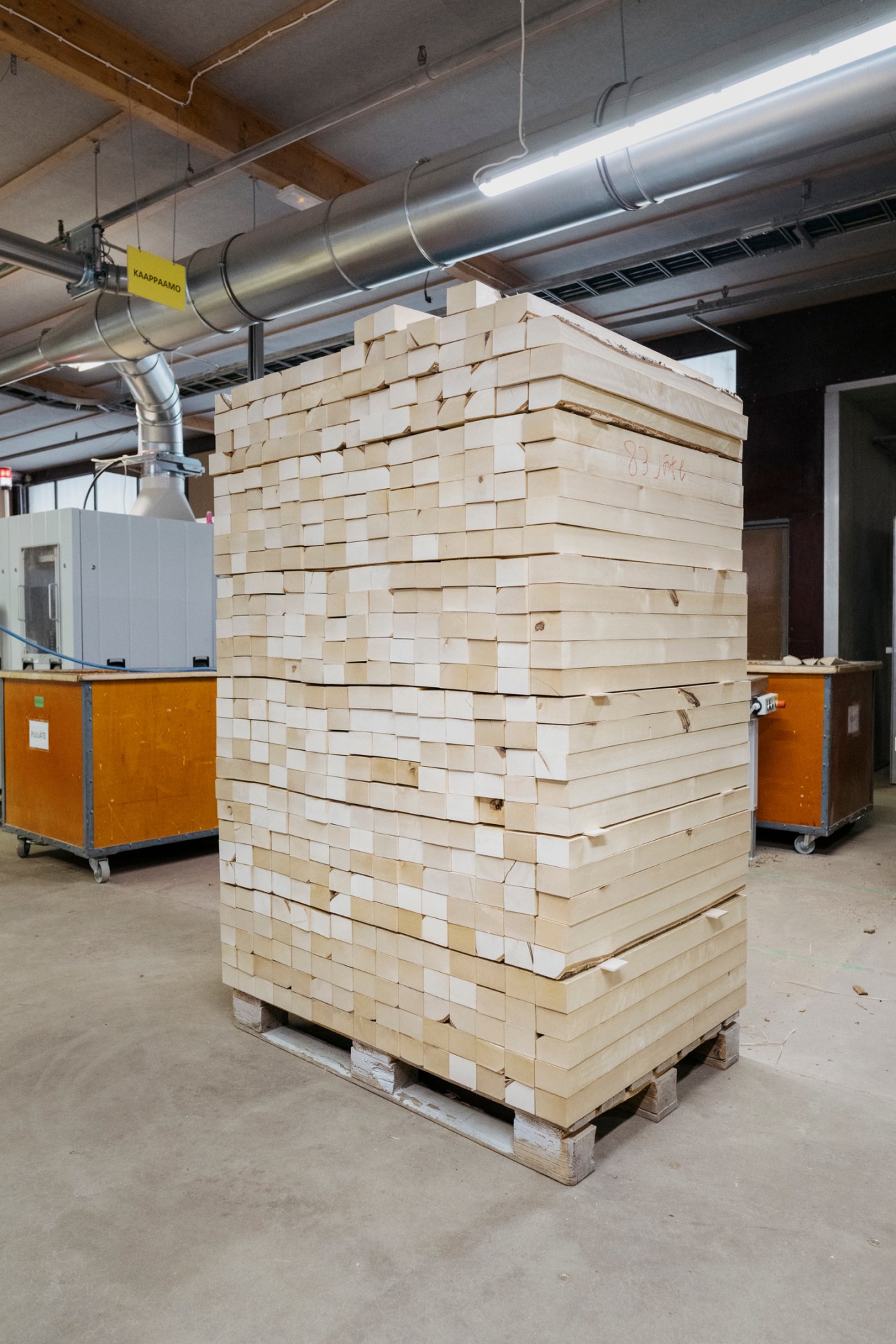 Birch wood planks before they undergo the bending process to become furniture components