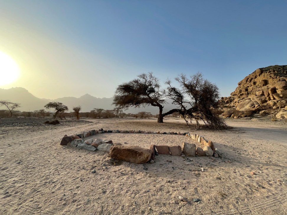 Desert landscape with stone circle formation and acacia tree under clear sky