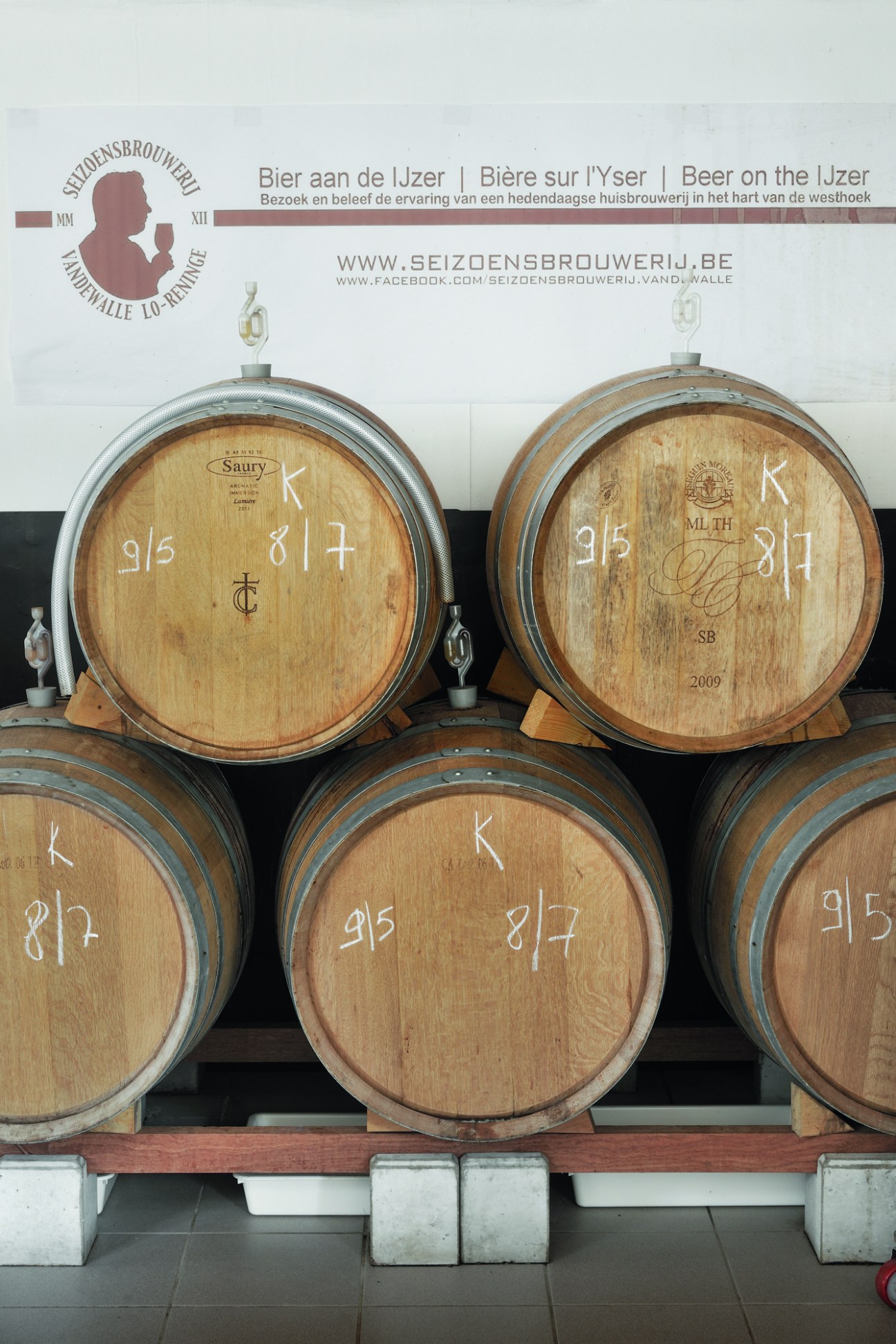 Oak barrels with metal hoops storing aging beer in a brewery cellar