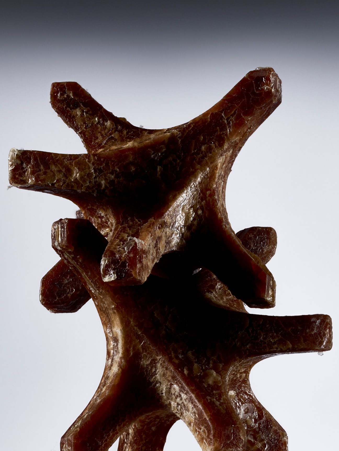 Brown star-shaped joint made from compressed spaghetti by Japanese firm Fabula