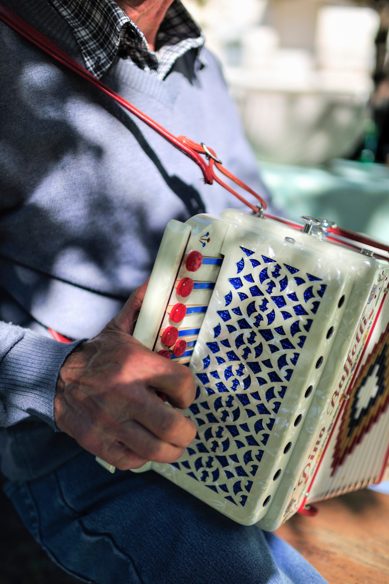 Close-up of hands holding a traditional accordion with cream and blue decorative panels and red buttons.