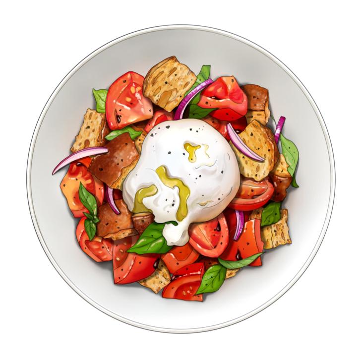 Panzanella bread salad with burrata, tomatoes, red onion, basil and croutons in a white bowl