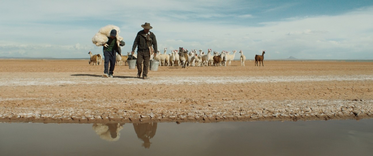Two people carrying water buckets walk across arid landscape with llamas in background