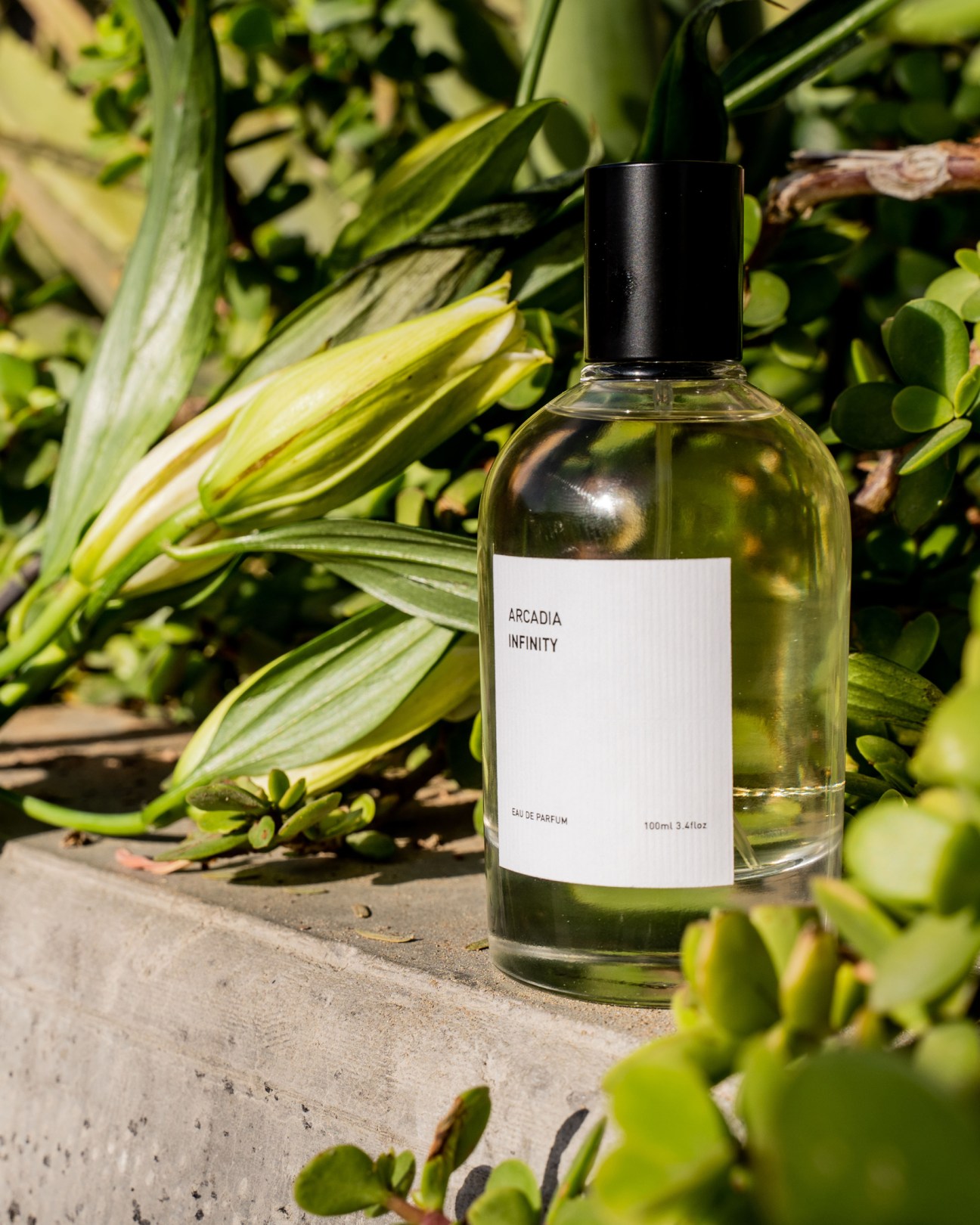 Arcadia Infinity eau de parfum bottle with white label surrounded by green foliage.