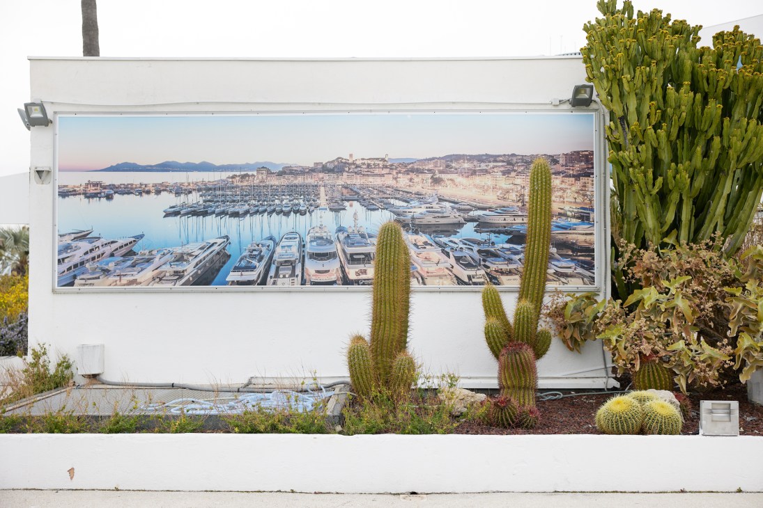 Marina filled with luxury yachts and cacti in foreground with large panoramic harbor photograph on white wall