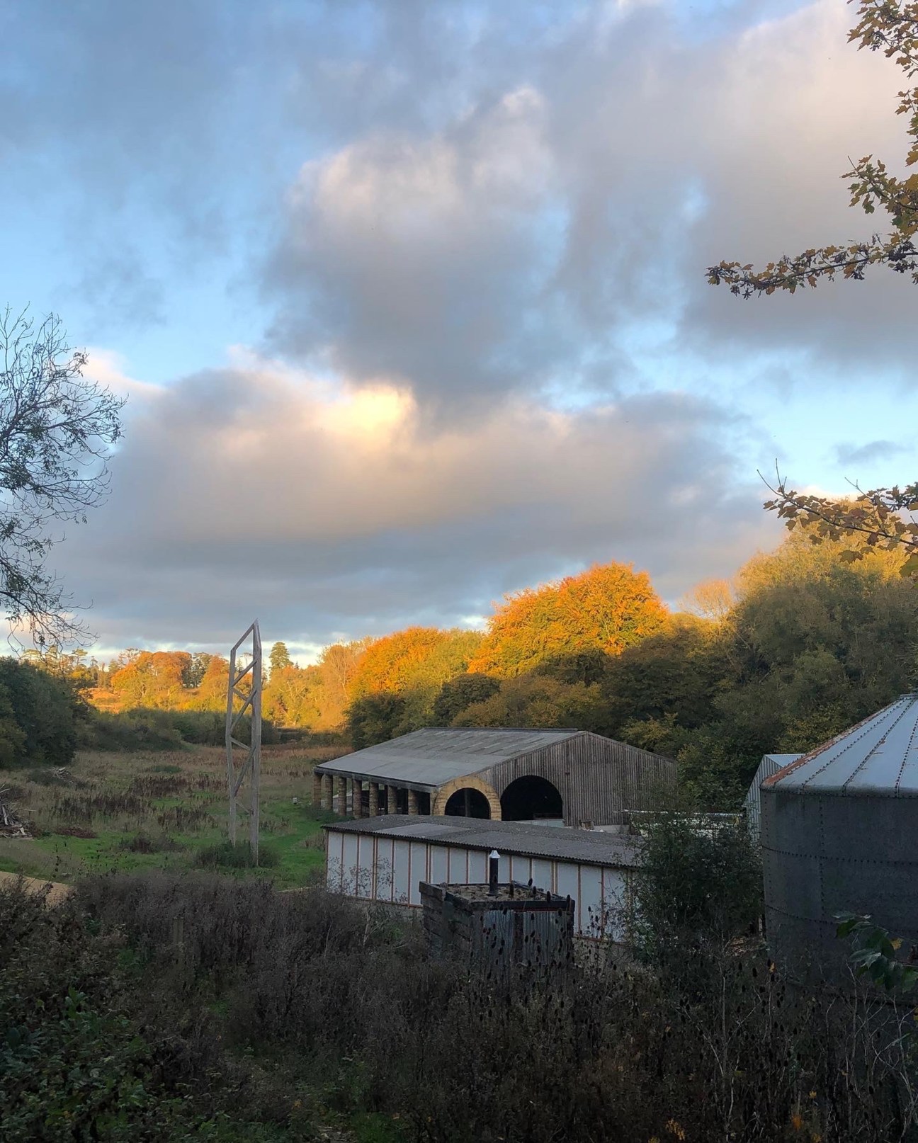 Rural farm buildings with corrugated metal roofs set against autumn trees and cloudy sky at dusk