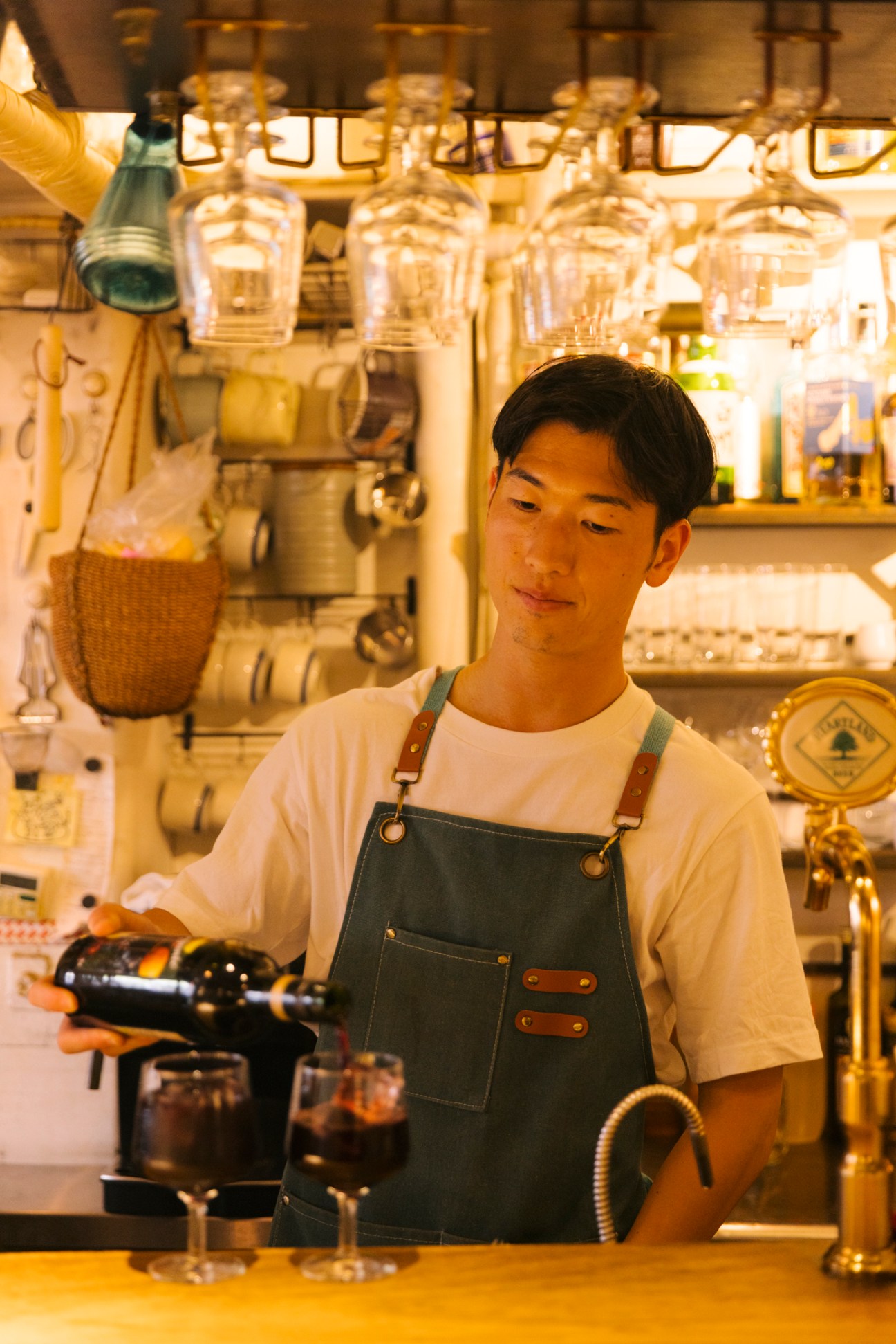 Young man in apron working behind bar counter with wine glasses hanging overhead